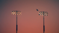 Thumbnail for version as of 22:31, 10 June 2014