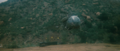 Thumbnail for version as of 22:21, 17 September 2014