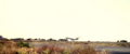 Thumbnail for version as of 20:27, 25 February 2015