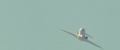 Thumbnail for version as of 20:26, 25 February 2015