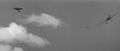 Thumbnail for version as of 19:15, 30 March 2016