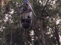 Thumbnail for version as of 11:39, 2 September 2009