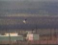 Thumbnail for version as of 17:36, 6 June 2014