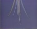 Thumbnail for version as of 18:09, 6 June 2014