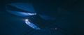 Thumbnail for version as of 20:26, 29 August 2022