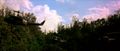 Thumbnail for version as of 12:21, 31 May 2010