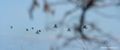 Thumbnail for version as of 21:26, 25 March 2020