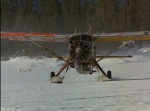 NCW DHC-2.jpg