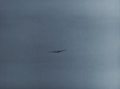 Thumbnail for version as of 02:26, 28 June 2014