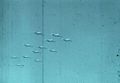 Thumbnail for version as of 02:50, 2 June 2018