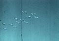 Thumbnail for version as of 02:50, 2 June 2018