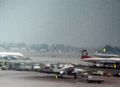 Thumbnail for version as of 08:14, 5 July 2020