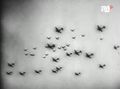 Thumbnail for version as of 09:59, 10 March 2014
