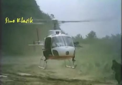 DEHUSL AS350b.jpg