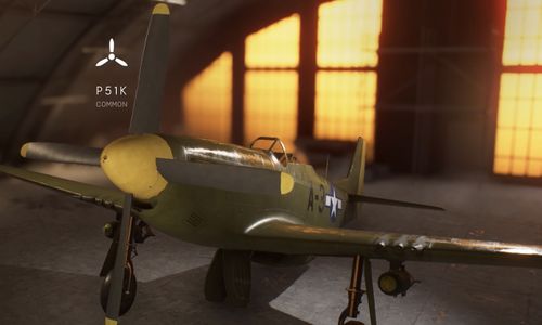 BFV P-51K.jpg