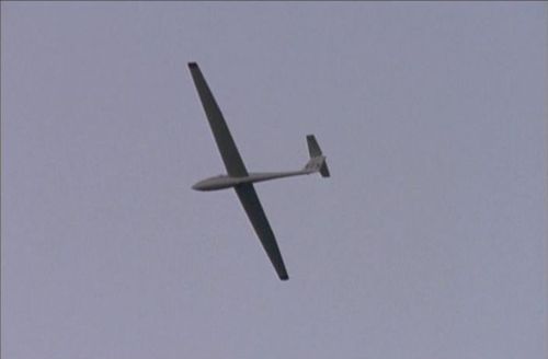 Dalziel Pascoe Glider 3.jpg