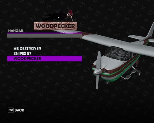 SR3 Woodpecker.jpg