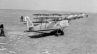 STAMPE AA.jpg